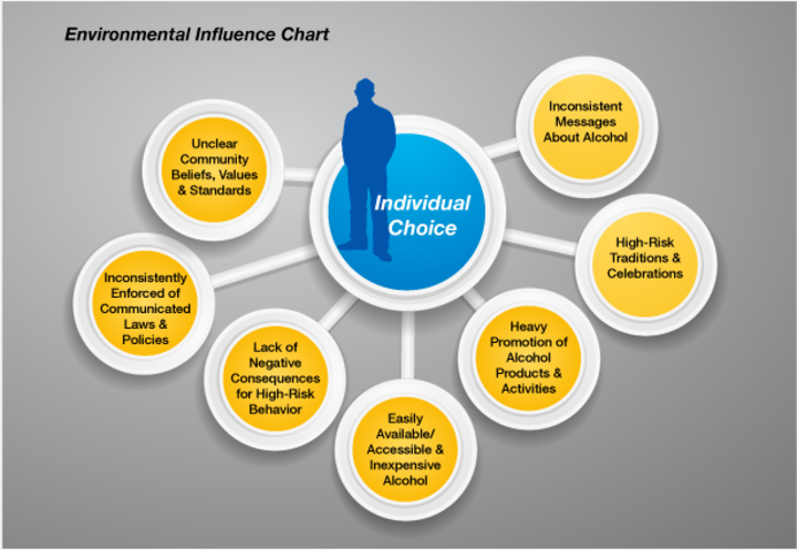 Environmental Influence Chart